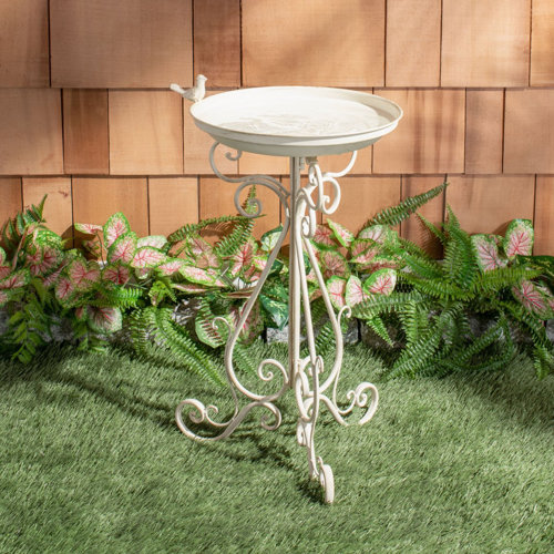 Wayfair White Bird Baths You'll Love in 2023